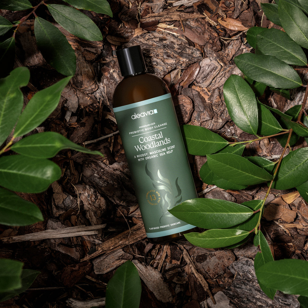 Coastal Woodlands Mens Body Cleanse