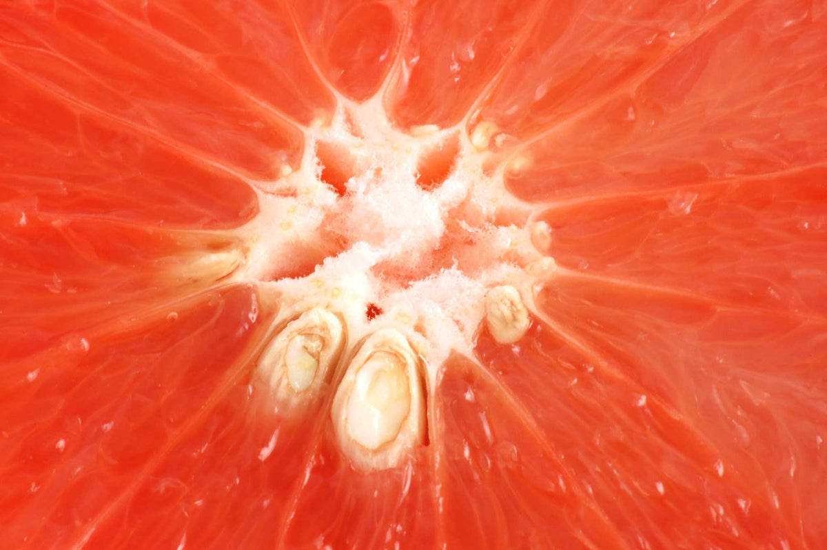 Grapefruit Lemongrass Prebiotic Body Lotion