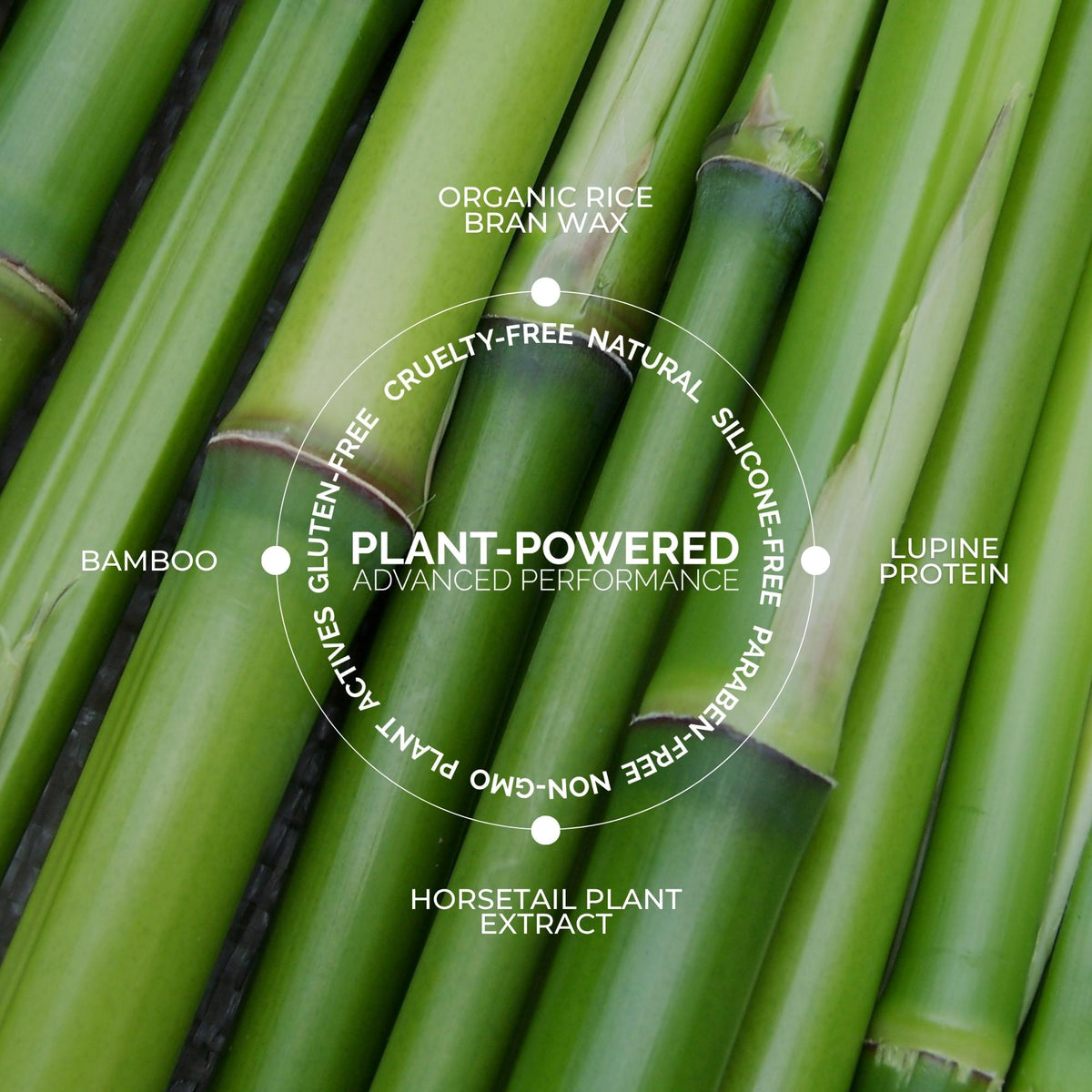 Plant Protein Brow Gel
