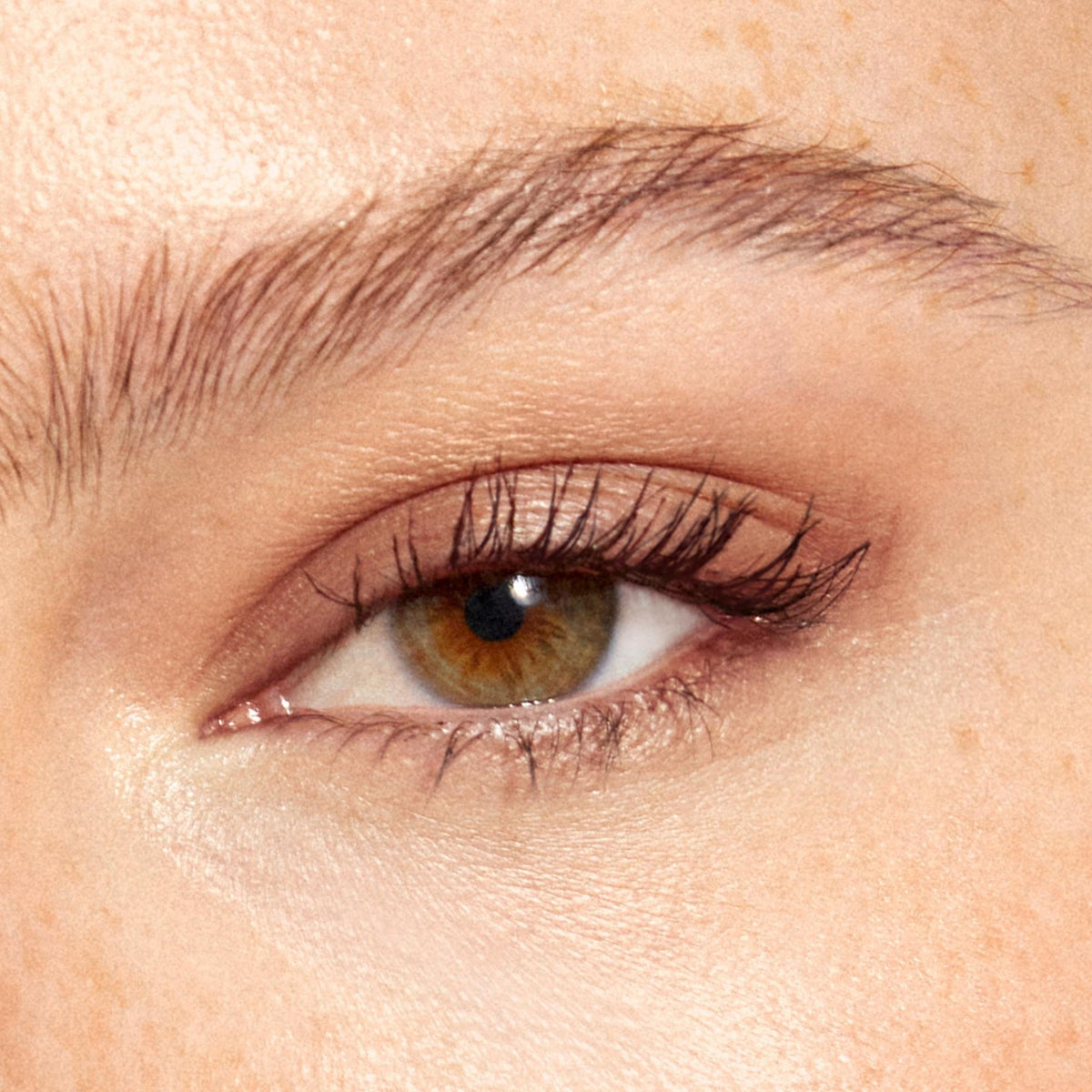 Multi-Use Pressed  Colour