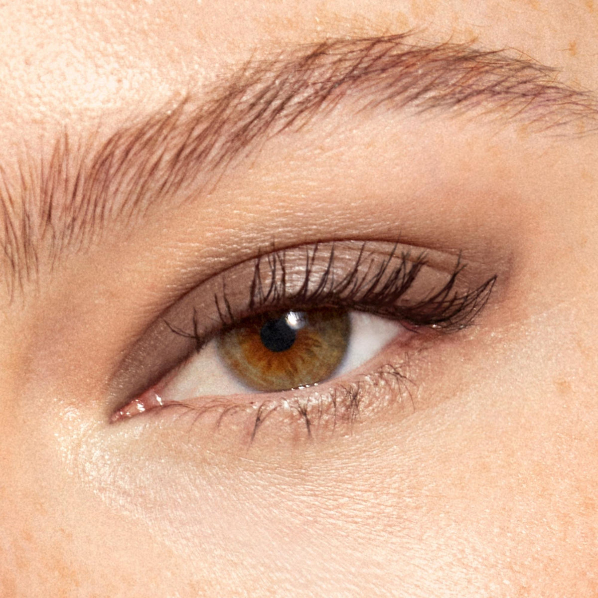 Multi-Use Pressed  Colour