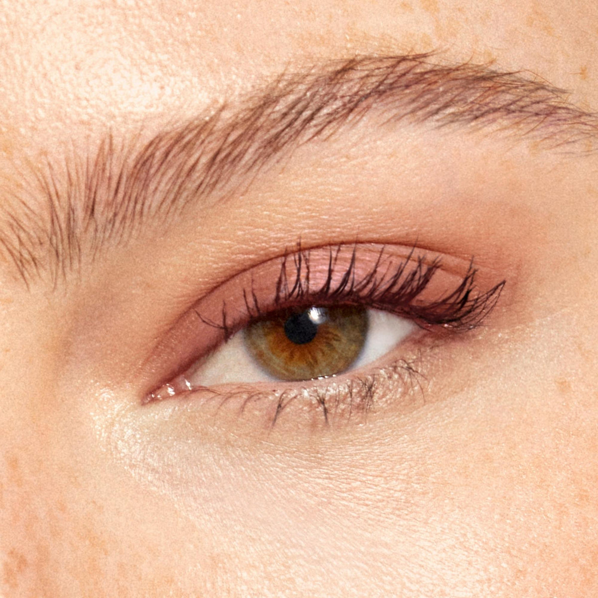 Multi-Use Pressed  Colour
