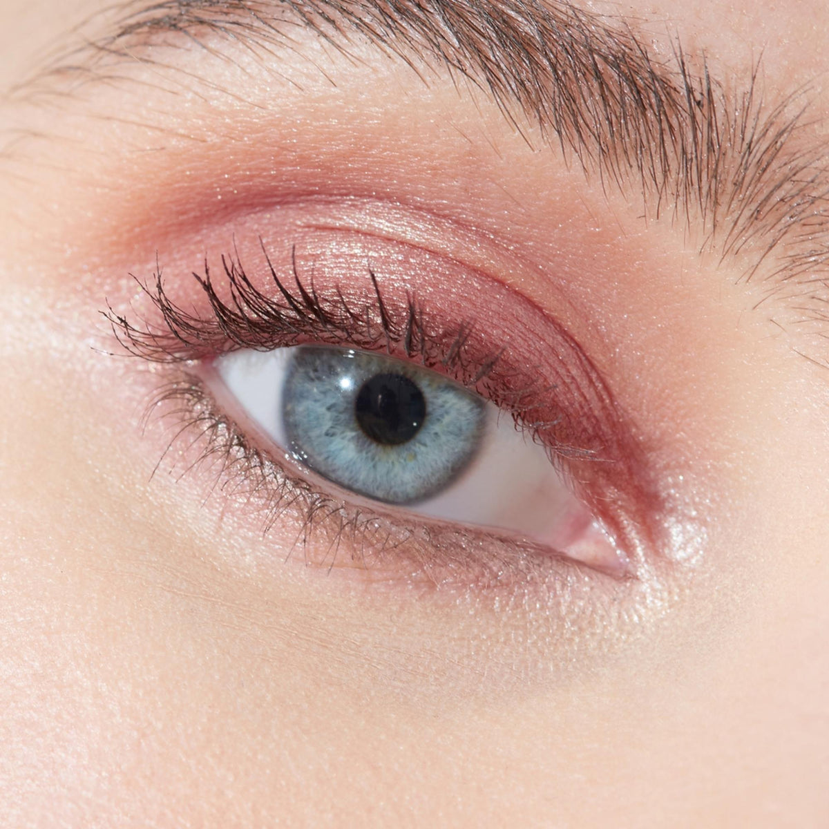 Multi-Use Pressed  Colour