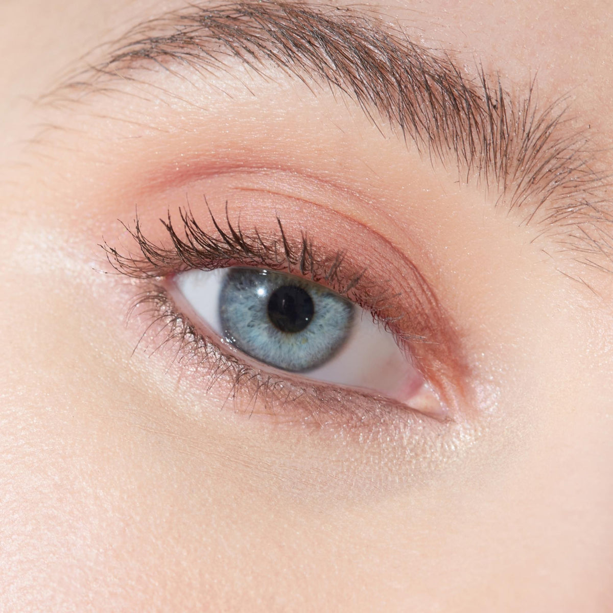 Multi-Use Pressed  Colour