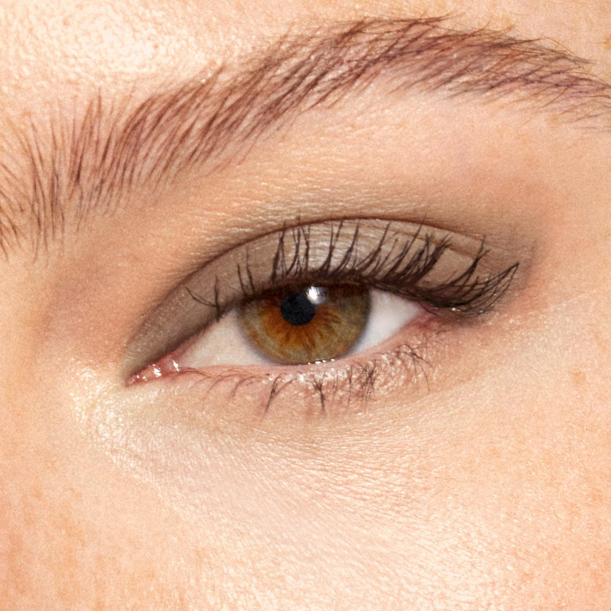 Multi-Use Pressed  Colour