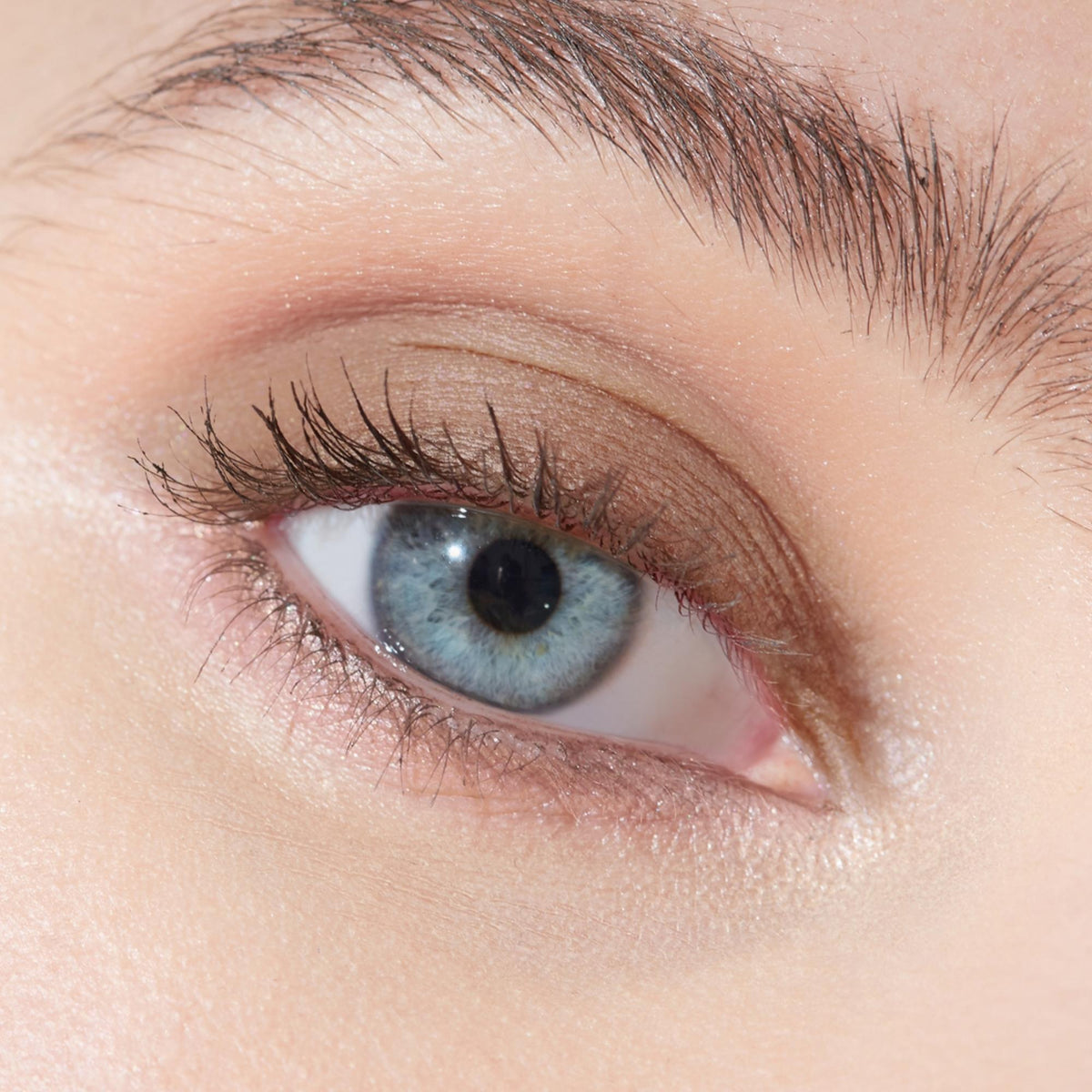 Multi-Use Pressed  Colour